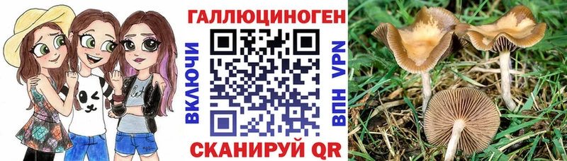 где найти наркотики  Княгинино  Галлюциногенные грибы Magic Shrooms 